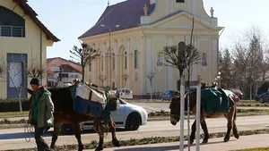 O franţuzoaică plecată în 2010 într-o călătorie prin Europa cu un măgar şi un catâr a ajuns în Timiş - FOTO