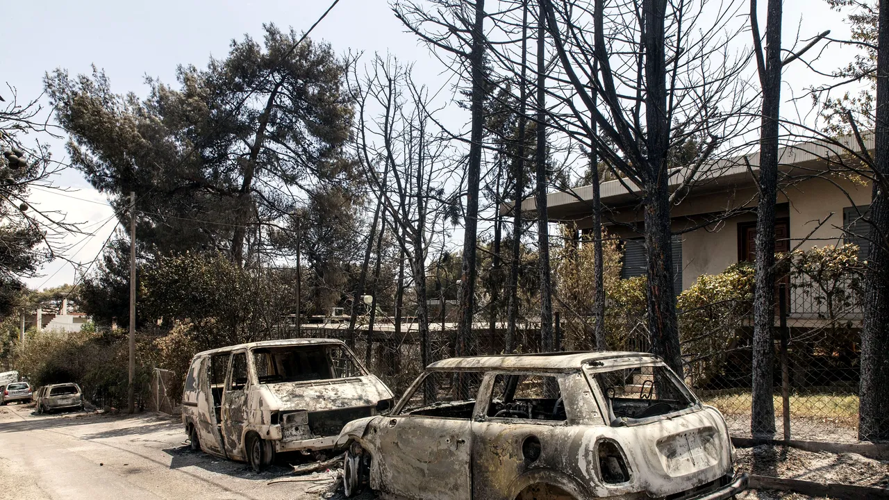 INCENDIILE din Mati. O pierdere pentru cultura greacă şi mondială. Casa şi arhiva privată ale regizorului Theo Angelopoulos, distruse de flăcări 