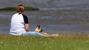 METEO Prognoza pentru următoarele 2 săptămâni. Maxime de 15 grade, apoi variaţii termice