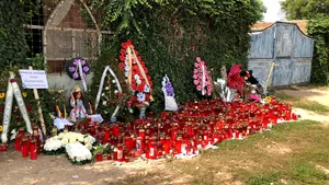 Dăncilă: Voi da OUG pentru instituirea pedepsei cu închisoarea pe viaţă şi înăsprirea pedepselor pentru criminali, violatori şi pedofili/ Aproape 500 de şoferi, prinşi că făceau transport ilegal de persoane, după cazul de la Caracal