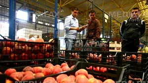 ANPC a suspendat activitatea unei pieţe importante din Bucureşti. Nu erau respectate normele pentru combatarea prevenirii coronavirusului