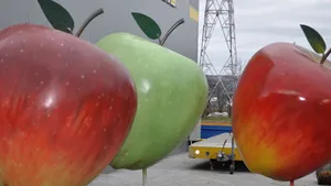 Şase mere gigant din poliester armat cu fibră de sticlă vor decora străzile Bistriţei, de Paşte - FOTO