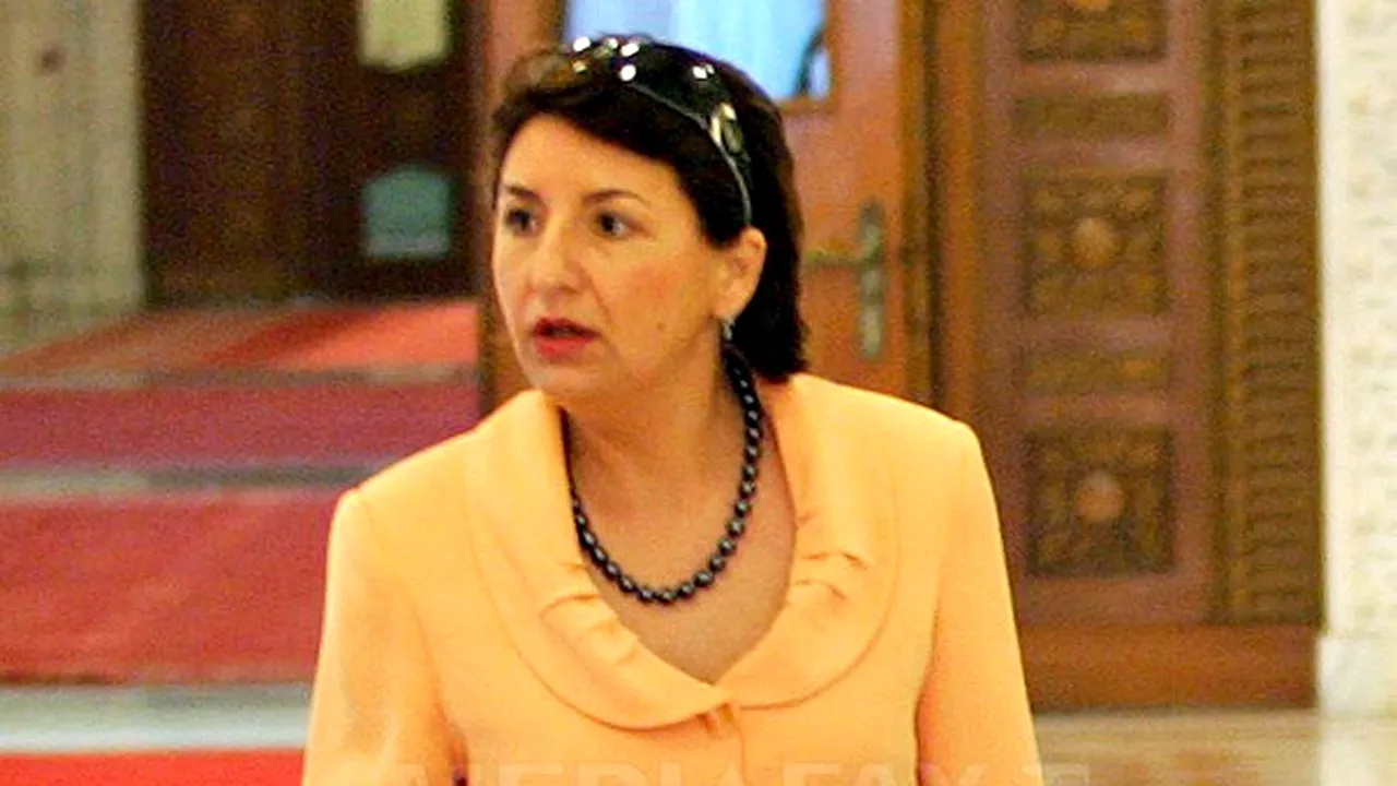 Sulfina Barbu: Nu sunt de acord cu dublarea CAS pentru beneficiarii de drepturi de autor