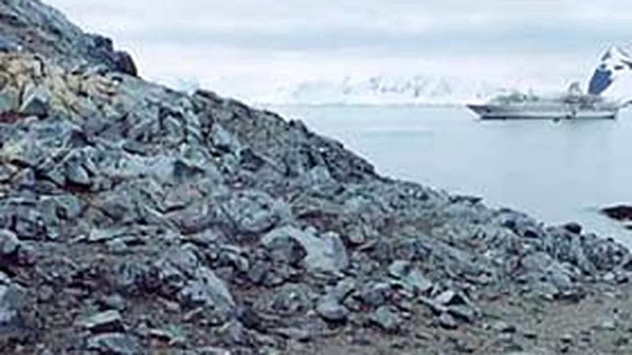 Animale gigantice, capturate de specialişti din apele Antarcticii