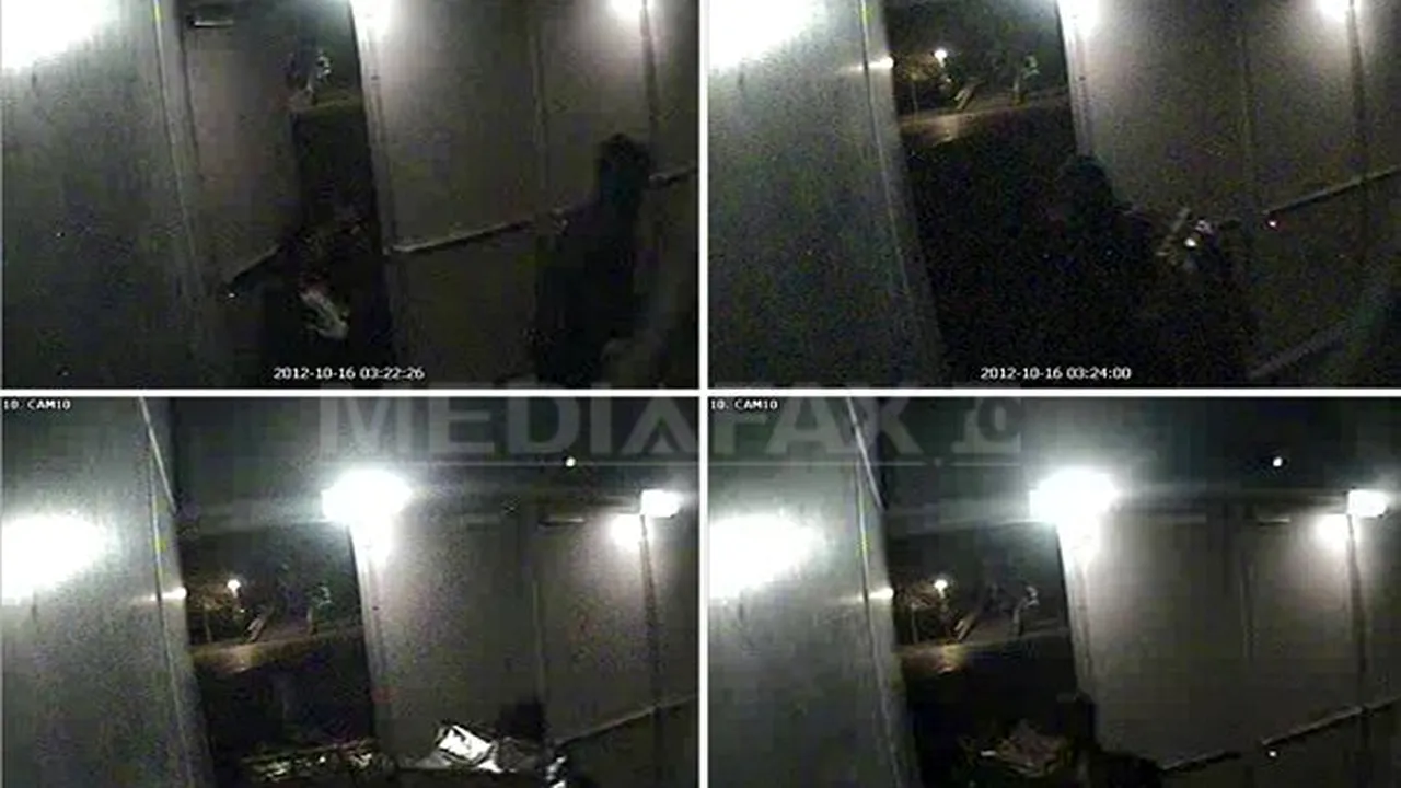 EXCLUSIV: Olanda cere României extrădarea celor trei suspecţi din cazul furtului de tablouri