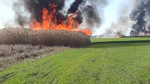 Un bărbat a fost găsit carbonizat pe o pășune incendiată din Bihor