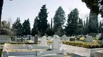 Ieșeanul care are un teren în formă de ”chitică” negociază pentru noul cimitir al Vasluiului. Oferta controversată revine în licitație