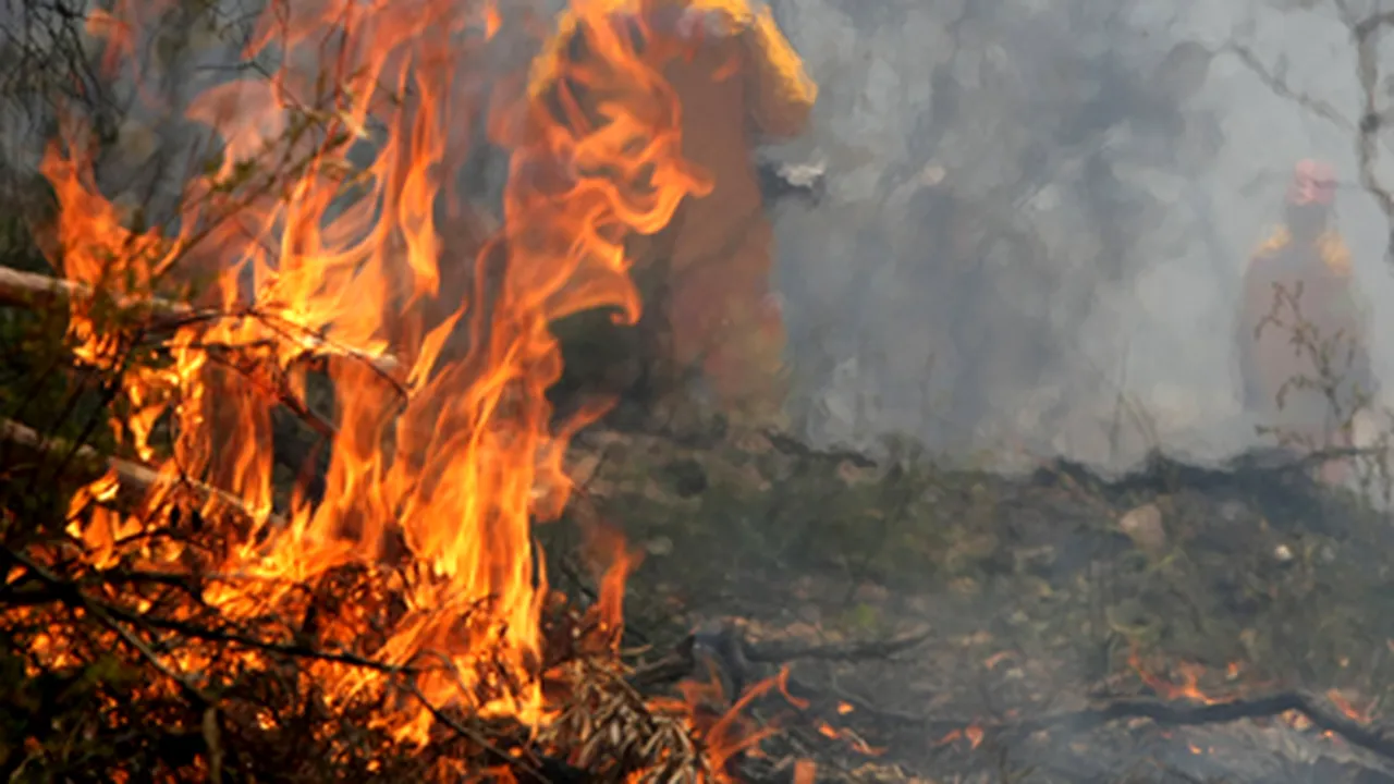 Şeful Direcţiei Silvice Cluj: Incendiul de la Măguri Răcătău pare să fi fost aprins intenţionat