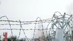 Cum au răspândit închisorile sovietice un „limbaj secret al hoților”, folosit acum de infractorii cibernetici ruși
