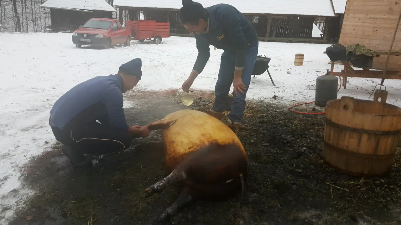 Pesta porcină nu îi sperie pe locuitorii unui judeţ din Transilvania. Aceştia trimit în continuare produse tradiţionale rudelor din străinătate