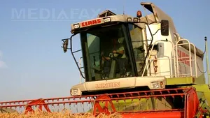 Arabii vor să investească în agricultura românească