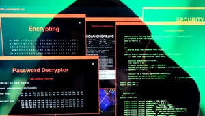 Federația Franceză de Baschet, victima unui atac cibernetic. Infractorul a fost arestat