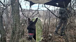 Criză logistică fără precedent în cadrul armatei ruse: lansează atacuri în Ucraina cu vehicule civile şi foloseşte măgari pentru a transporta provizii