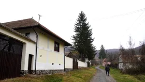 Un sfert dintre localnicii unui sat din Sibiu sunt profesori universitari