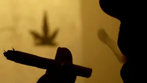 Captură de o tonă şi jumătate de cannabis la frontiera franco-spaniolă