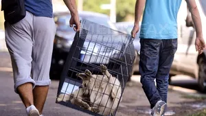 Primarul Capitalei, despre ASPA: A venit timpul să nu mai externalizăm serviciile 