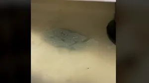 VIDEO Un specialist atrage atenţia: Gheaţa din băuturi vă poate îmbolnăvi