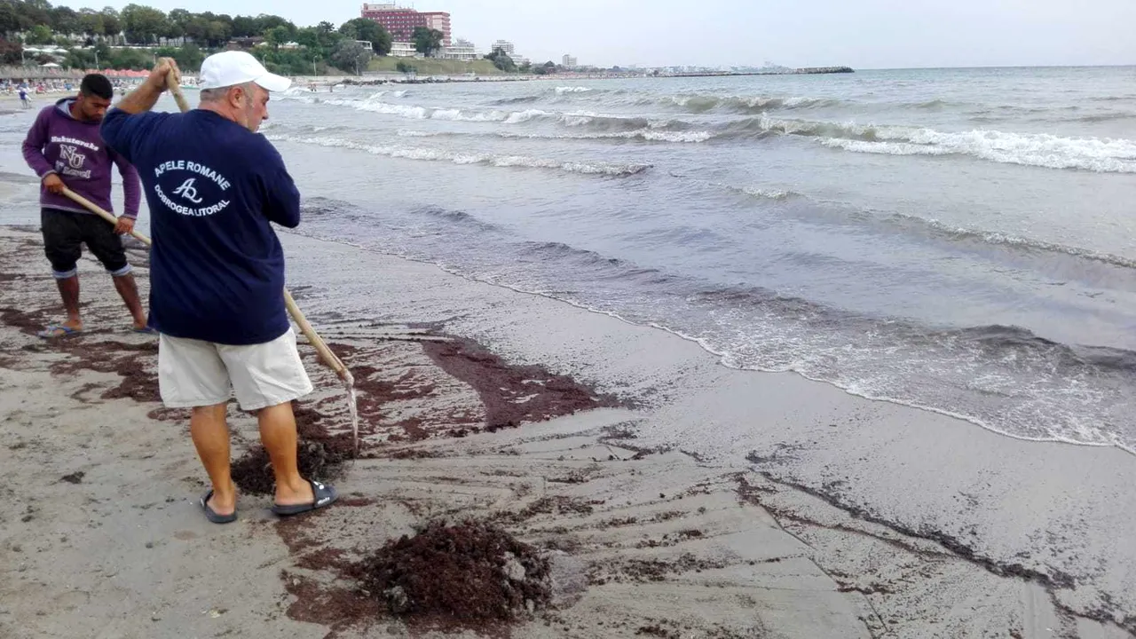 Poluare cu reziduuri petroliere la Mangalia. O plajă a fost închisă 