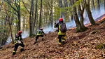 Peste 140 de oameni, mobilizați pentru incendiile din Domogled. Focul arde mocnit și se poate reaprinde