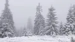 A nins în zona montană înaltă: Stratul de zăpadă a ajuns la 3 centimetri la stația meteo Iezer