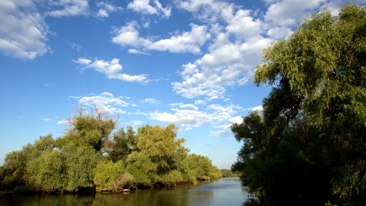 Comisia Europeană vine în sprijinul naturii. Ce scop îşi propune să atingă până în 2030
