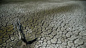 STUDIU Mai multe ţări ar putea înregistra temperaturi extreme periodic. Unde vor fi cele mai mari creşteri