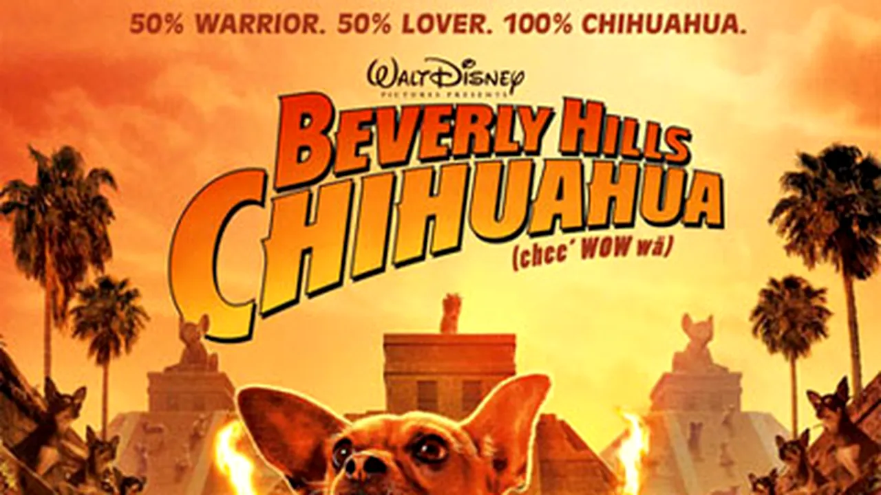 Filmul 