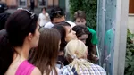 Rezultate Evaluarea Națională. Peste 470 de note de 10 la limba română și peste 900 la matematică