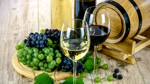 Canicula schimbă producția de vin spumant din Italia. Recolta începe mai devreme și se face noaptea
