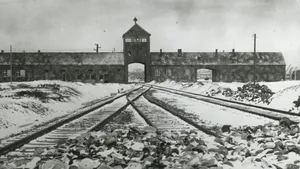 COMENTARIU Lelia Munteanu: De ce nici un avion militar n-a încercat să distrugă liniile de cale ferată din jurul Auschwitzului?