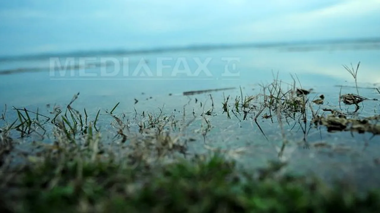 DUNĂREA a depăşit COTELE de atenţie în Olt. Peste 200 de hectare de păşune inundate