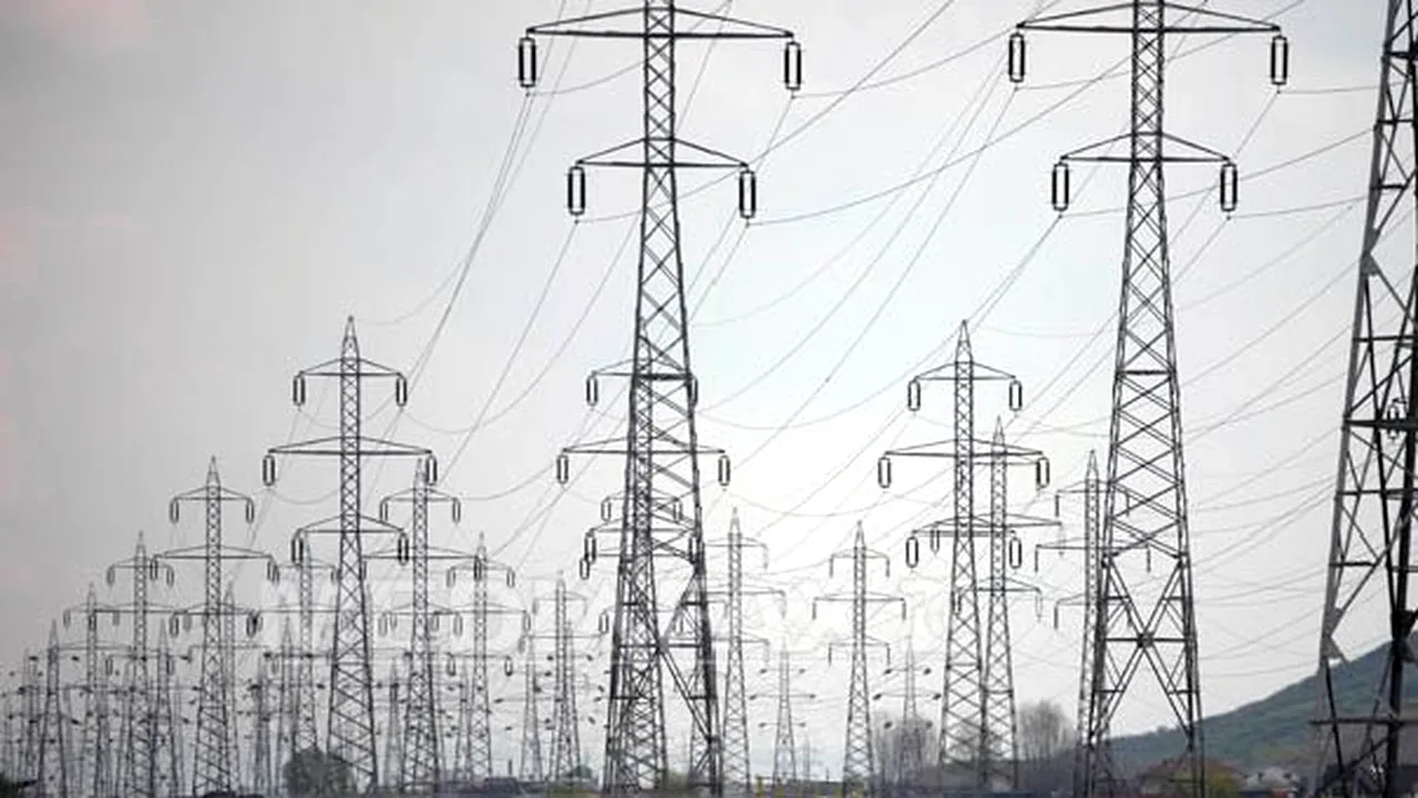 Guvernul şi-a rezervat dreptul de a limita sau bloca tarifele la energia electrică până la şase luni