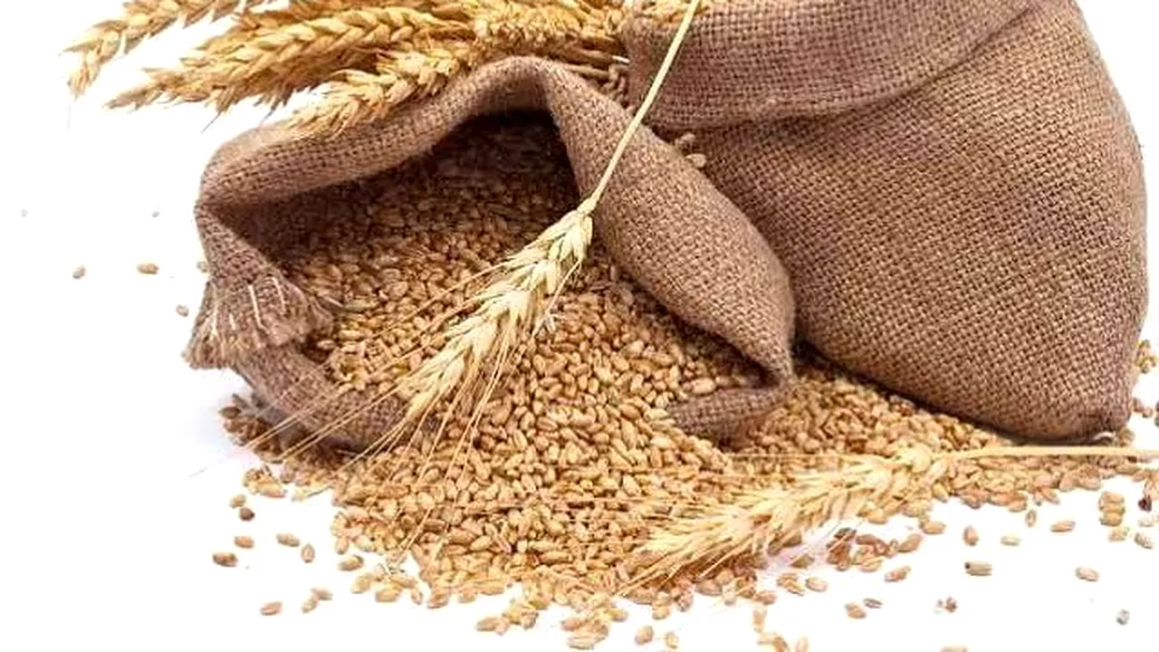 Egipt, Arabia Saudită sau Filipine sunt principalele destinaţii în care ajung cerealele româneşti