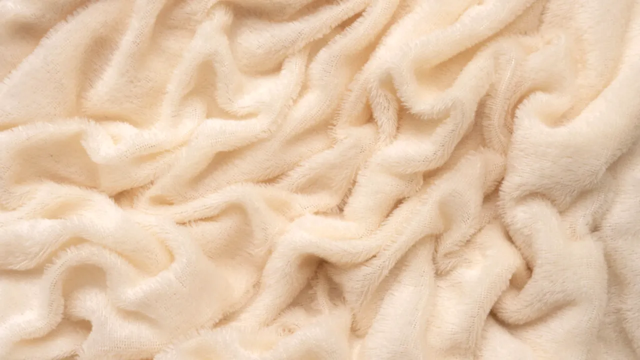 Un startup transformă penele de pui în cașmir cu ajutorul inteligenței artificiale