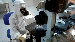 CEJ va permite obţinerea patentelor pentru anumite cercetări cu celule suşă