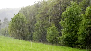 ATENŢIONARE meteo de vineri până sâmbătă dimineaţa. Sunt anunţate vijelii şi caniculă
