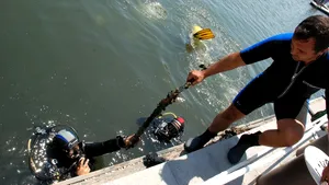 Campanie de ecologizare în Portul Turistic Mangalia, scafandrii au scos din mare parâme şi sticle - FOTO