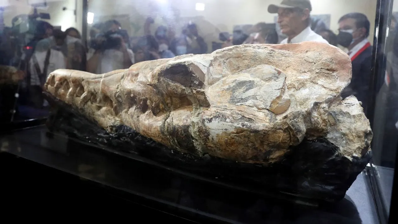 Paleontologii au descoperit craniul unui „monstru marin” vechi de 36 milioane de ani FOTO VIDEO