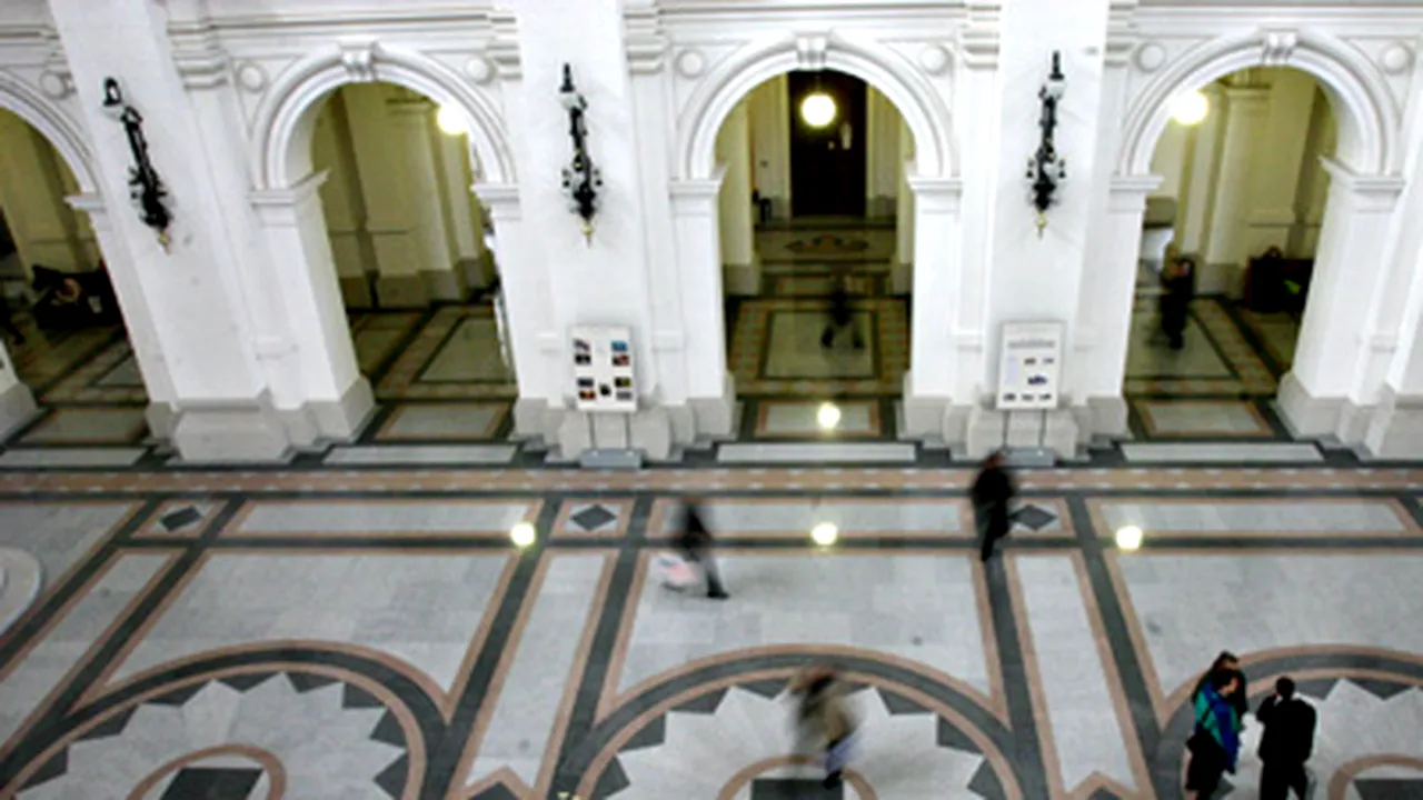 Nouă 