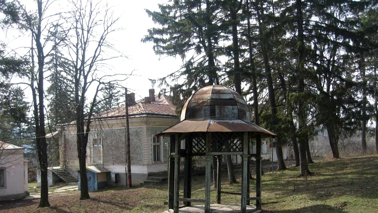 Fiul Principesei Ileana a României şi al arhiducelui de Habsburg, trimis în judecată pentru distrugerea conacului din Poieni | FOTO