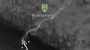 14 sirieni, prinşi într-o pădure din judeţul Constanţa, după ce au intrat ilegal în România
