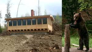 Observatoare amplasate pe munte pentru turişti, din care pot fi văzuţi urşi în mediul lor natural. Afacerea din care pădurarii braşoveni au câştigat peste 30.000 de lei într-o jumătate de an