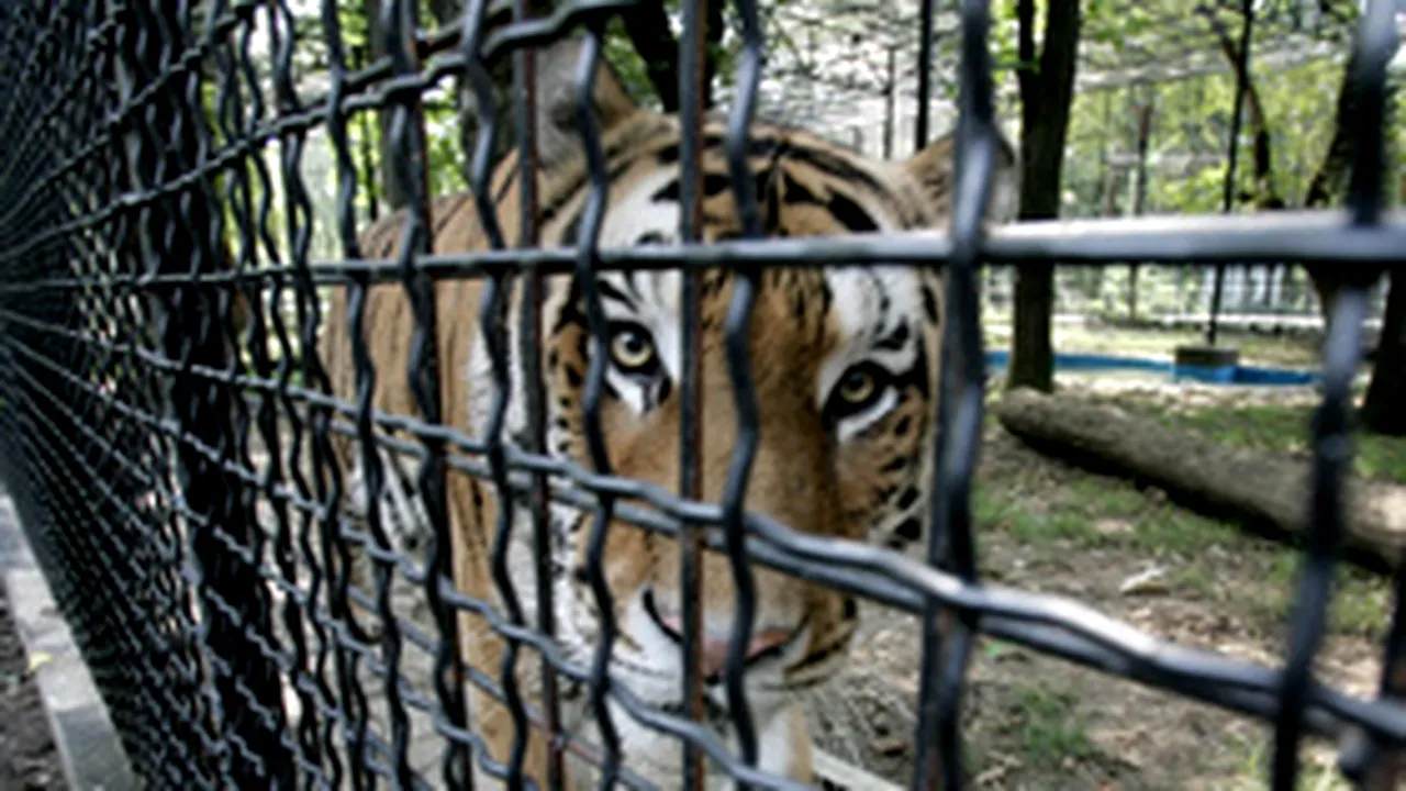 Parcurile sau grădinile zoologice nu-şi mai pot schimba destinaţia