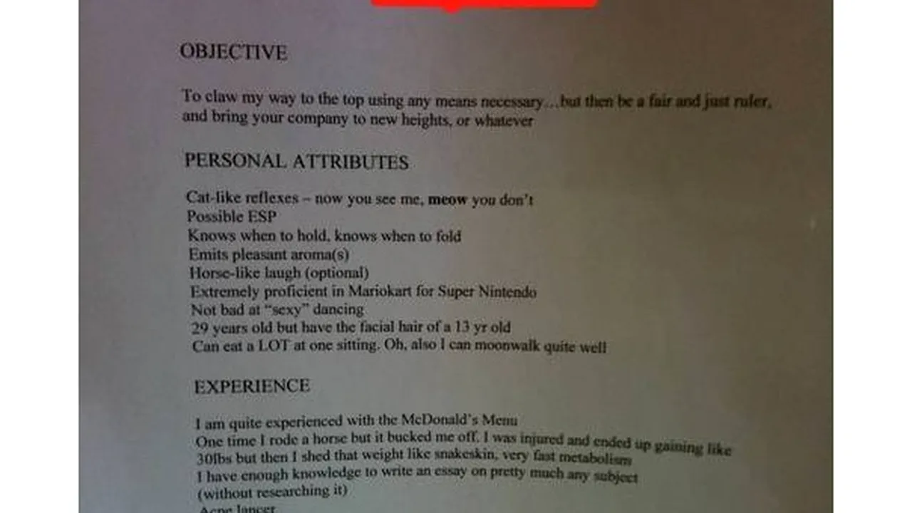 Cum arată cel mai prost CV din lume