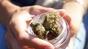 Noua controversă marca Trump: mută marijuana de pe lista drogurilor foarte periculoase pe una mai soft