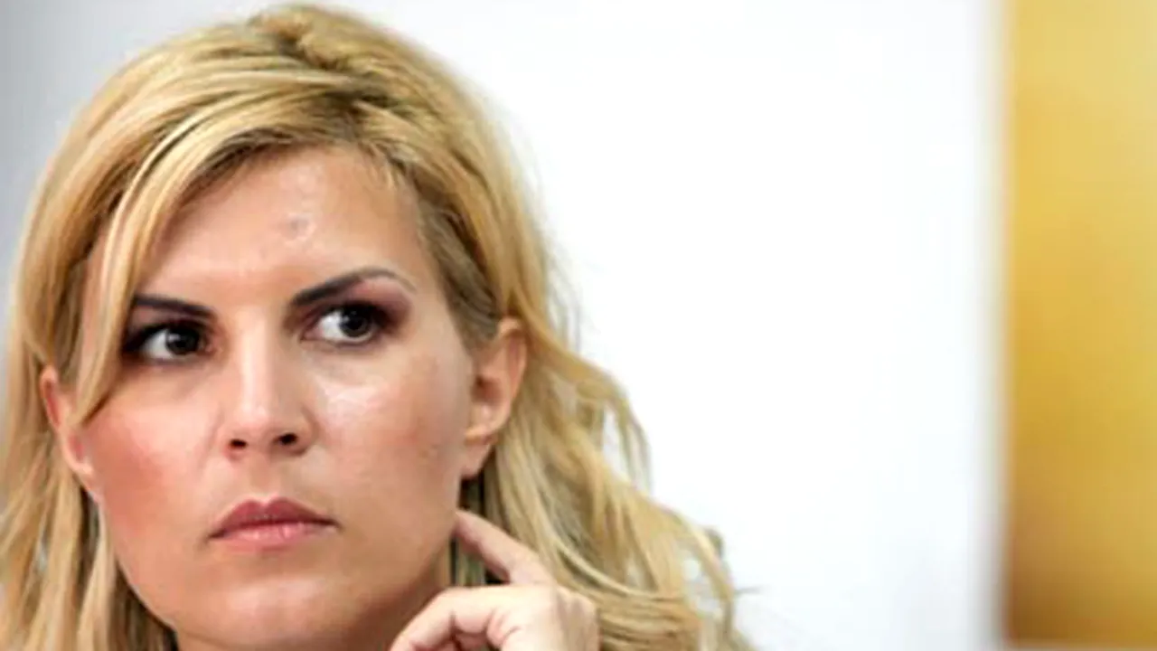 Udrea: Nu ştiu dacă există alternativă pentru mutarea parlamentarilor