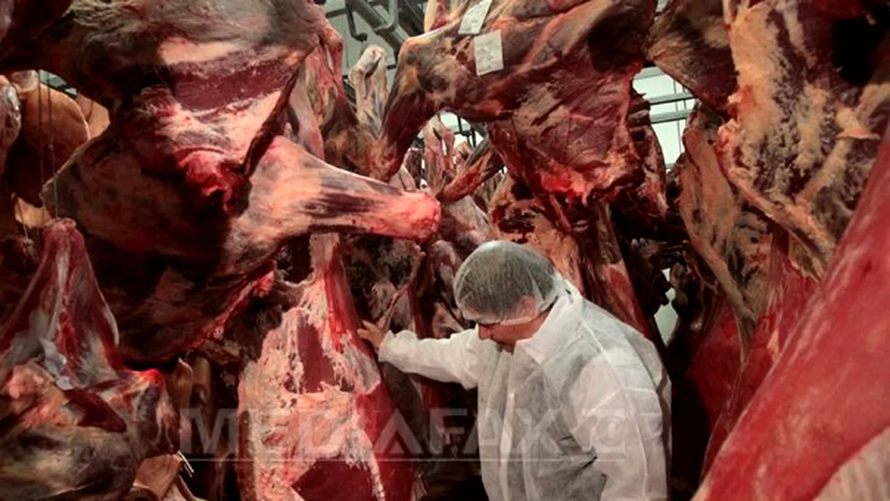 Scandalul cărnii de cal: Două abatoare din Suceava sunt autorizate să sacrifice cai. Unul a exportat carne în Italia şi Bulgaria