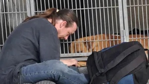 IMAGINEA EMOŢIONANTĂ care i-a adus câinele înapoi şi povestea bărbatului care a primit ajutor pe Facebook - FOTO, VIDEO