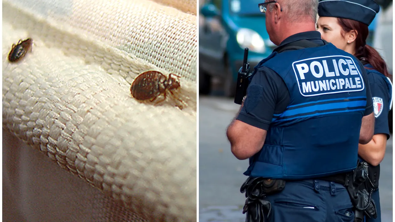 Secţie de poliţie din Paris, închisă din cauza unei INVAZII de purici/ Sindicatul poliţiştilor: Sunt condiţii intolerabile