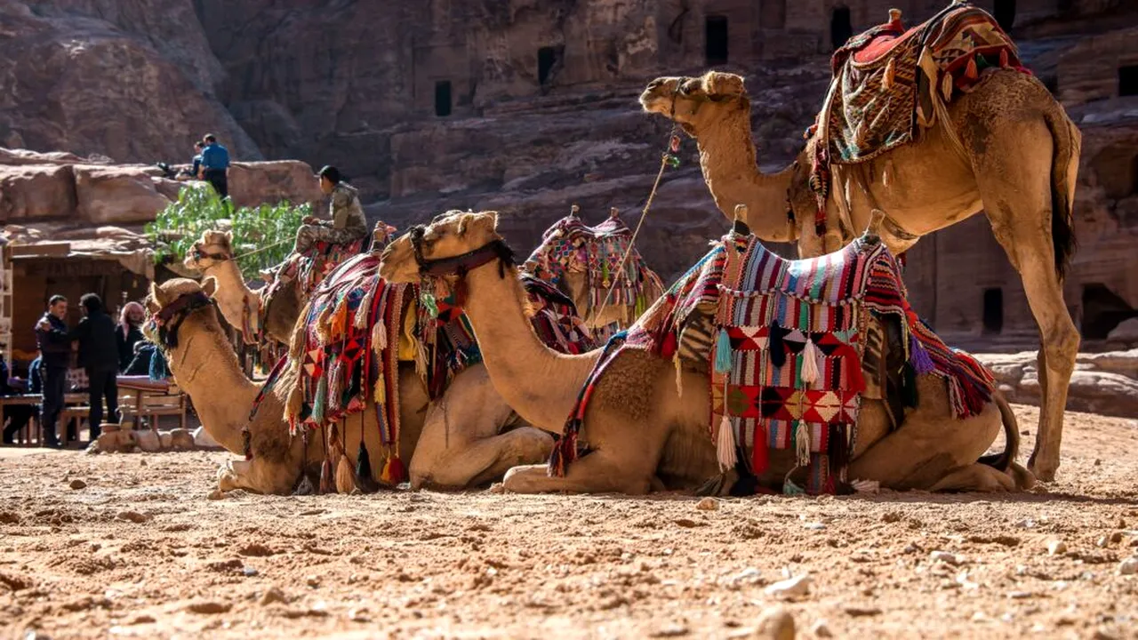 „Locul unde cămilele se tem să meargă”: 200 de schelete au fost descoperite într-un cimitir preistoric din deșertul Sahara